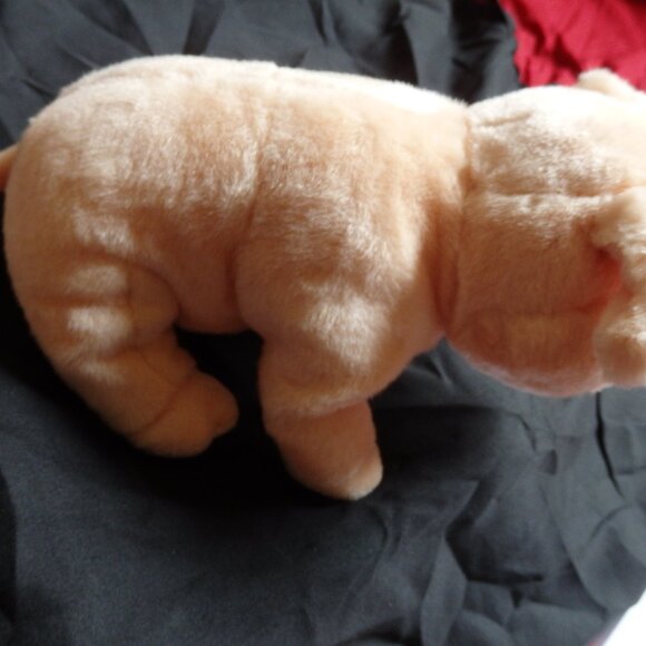 Vintage Charlotte’s Web “Wilbur” Ty Beanie Baby - Picture 4 of 7